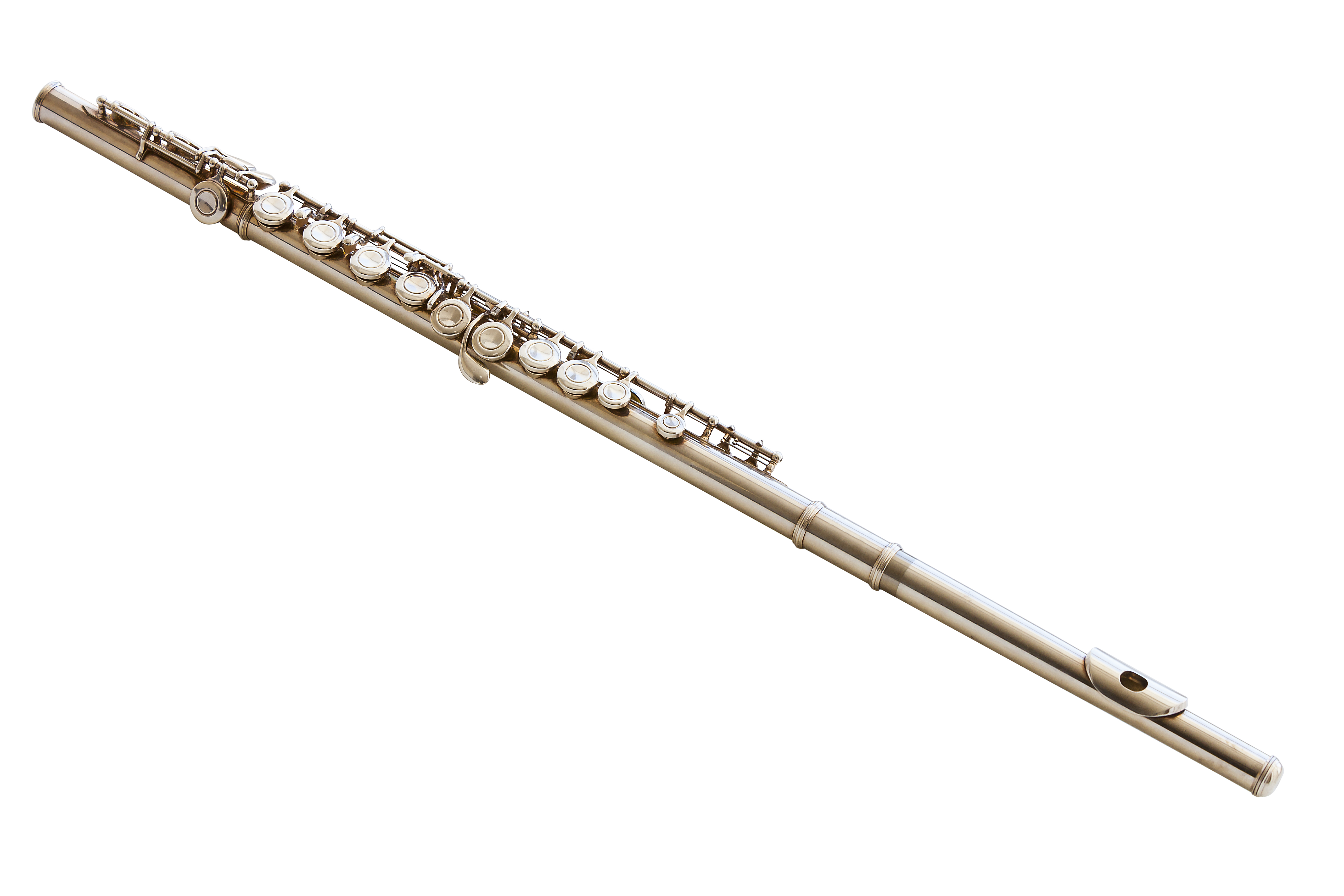 Flute hotsell
